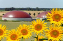 The figures show that biomethane capacity has more than quadrupled in the last year